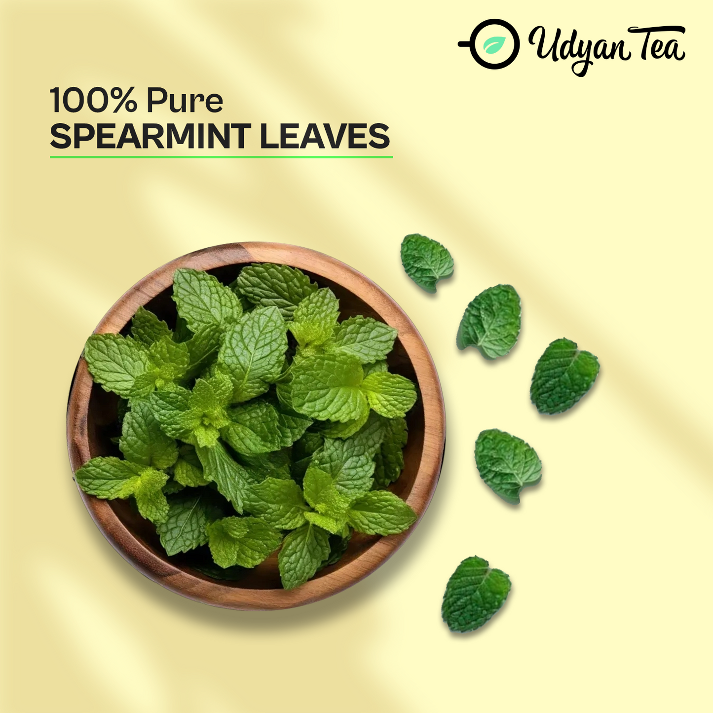 Spearmint Herbal Tea