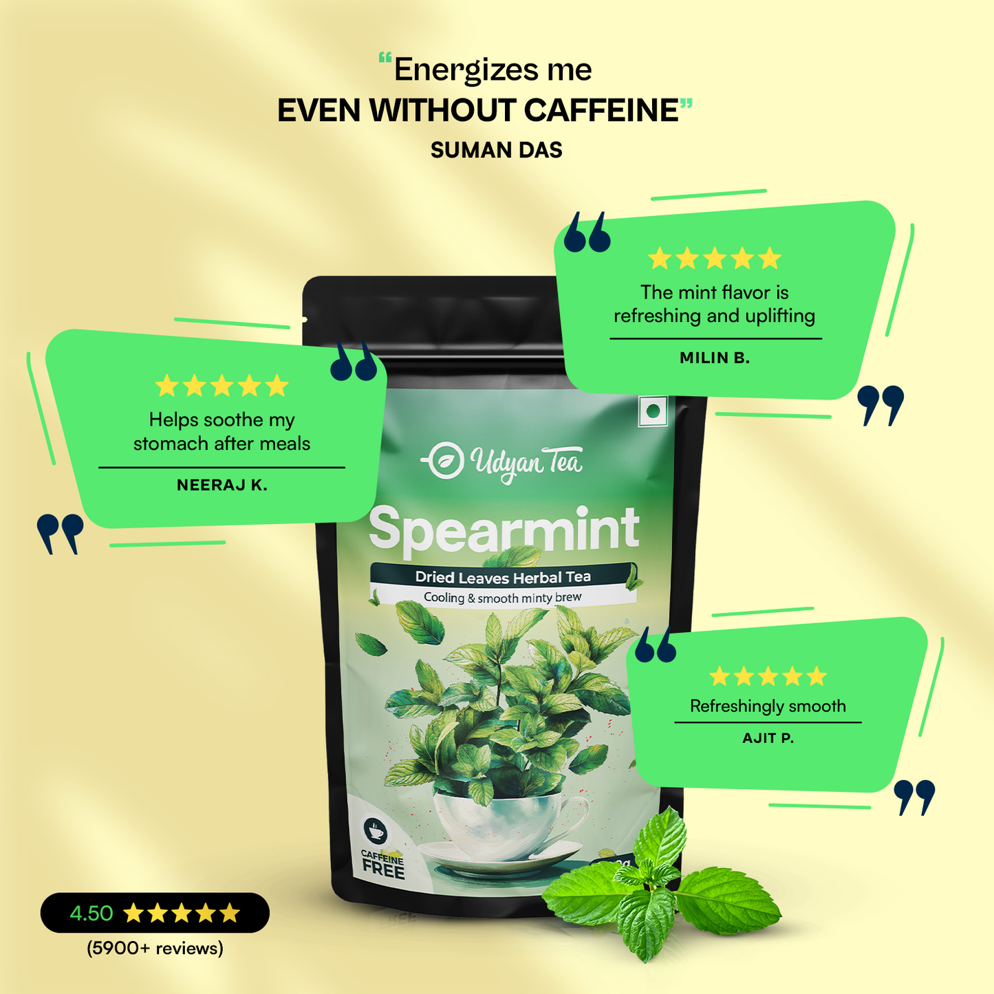 Spearmint Herbal Tea