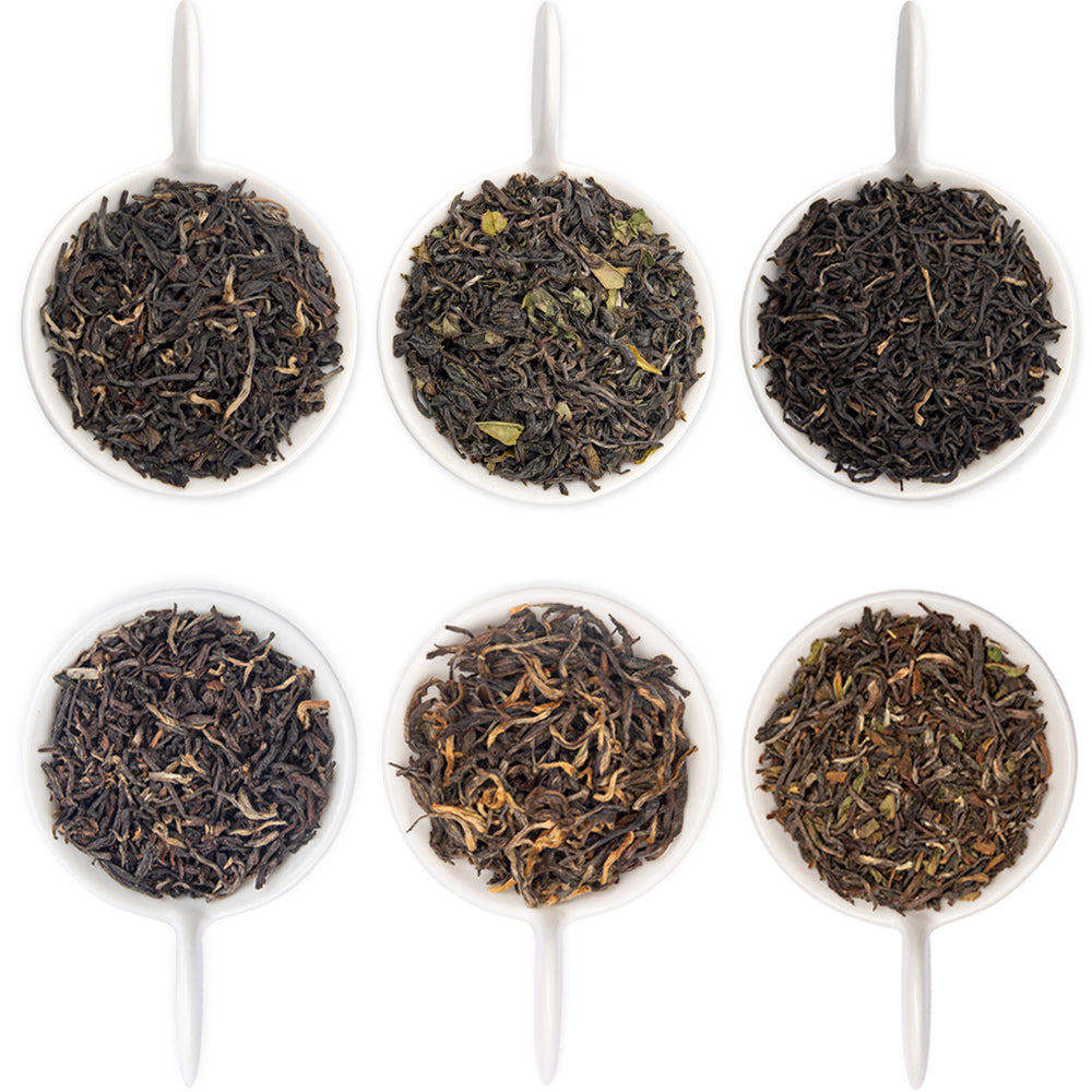 Black Tea Sampler Pack